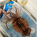 군산옐로우푸드 협동조합 이미지