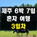 목장주유소 | 제주 6박 7일 여름 혼자 여행 3일차(호텔화인 희신이네 성이시돌목장 상담소맑음 에이바우트커피)