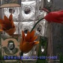 권리상회 이미지