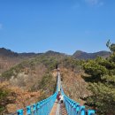 대도카종합센타 | [국내 여행 추천] 아찔한 스릴과 절경의 조화, 원주 소금산 그랜드 밸리 트래킹 완벽 정복!
