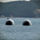 꿈바라기 이미지