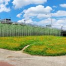 하천(유등천3) 이미지