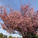 선흘1리경로당 이미지