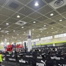 록스기계 | 2025 서울 코엑스 하이록스 현장 후기 (아모띠 승연초이 직관)