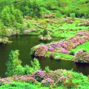 그린풍경 이미지