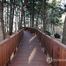관동팔경녹색경관길 이미지