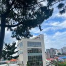 리본2 | [강릉 젤라또 블루리본 맛집] 순두부젤라또 2호점 내돈내산 후기