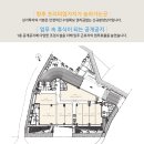 화정3층약국 Daum카페
