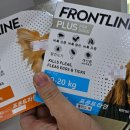 서정온누리약국 이미지