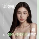 쁠리성형외과의원 | 코수술전문 다똑같은 코가 아니죠 내얼굴에 꼭 맞는 예쁜코성형 쁠리성형외과