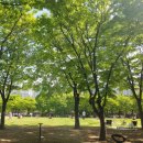 물빛공원 농구장 | 아이와 김포 걸포중앙공원 주차, 무료 피크닉, 텐트, 놀이터, 카페, 어린이날 행사☆