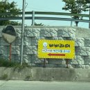 삐삐라떼 이미지