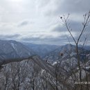 정선 운탄고도 산행후기 이미지