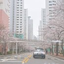 우린 다 이번 생은 처음이잖아
