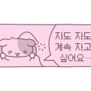 다움PT 이미지