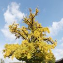 단곡1리 이미지