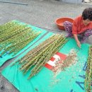 수문보건진료소 이미지