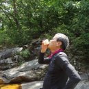 칠형제곰치국 이미지