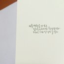 데이그래피 이미지
