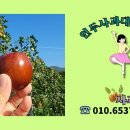 옛고을농장 이미지