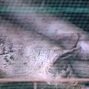 완진농장 이미지