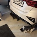 떡볶이참잘하는집 떡참 포항죽도점 | 2월은 짧어요