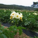 탁구교실(B) 이미지