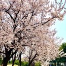 연지공원(시계탑) 이미지