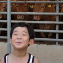 재민축사 이미지