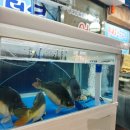 하대동249 이미지