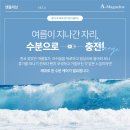 올리브 에스테틱