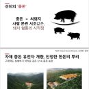 선진기업 | 선진포크한돈 포크리에 19기 서포터즈 발대식 후기