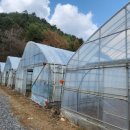 추동리마을회관 이미지