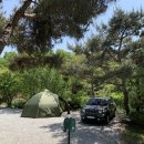 코끼리 관광농원 이미지