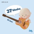 왕성체육관 | 임신 37주 : 신생아 양말/모자/빕 빨래&amp;보관, 속싸개/겉싸개 빨래, 아뜰리에슈 선물, 연말모임