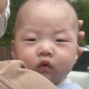 태이네일