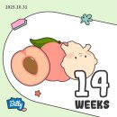 롯데샘터 | [임신 14주차] 감기에 걸려 … 집에서쉬어 … 가을도 조금 즐겨 …