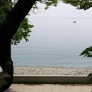 핑키마린펜션 이미지