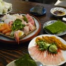 성수 이자카야 맛집 성수일구 | 사시미, 우니단새우, 고등어봉초밥 내돈내산 후기