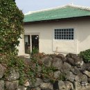 색달동-22 이미지