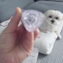 좌천제2남자경로당 | 부산 마운자로 성지로 유명한 수정동 백의원 금액, 할인, 주차 총정리