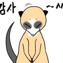 헬리아호텔 네이버블로그