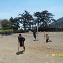 여수북초등학교 이미지