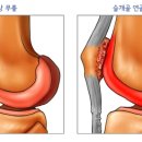 연화랑 이미지
