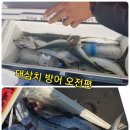 11/3 포항삼치 방어루어낚시 대삼치편! (뉴대양호3일오전사진들) 이미지