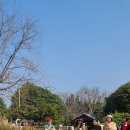 홍이마켓 이미지