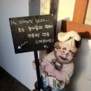 제주도 빵유랑 &lt;1편&gt; 이레브랑제리 Boulangerie Ire