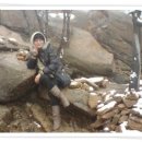 번영로길 이미지