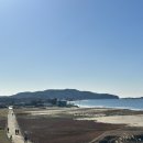 파도길 65 | 1박2일 태안여행 [태안->대천] 안면도해비알꽃게, 신두리해안사구,천리포수목원, 커피인터뷰파도리점...