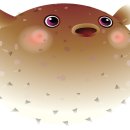 현대복어 이미지